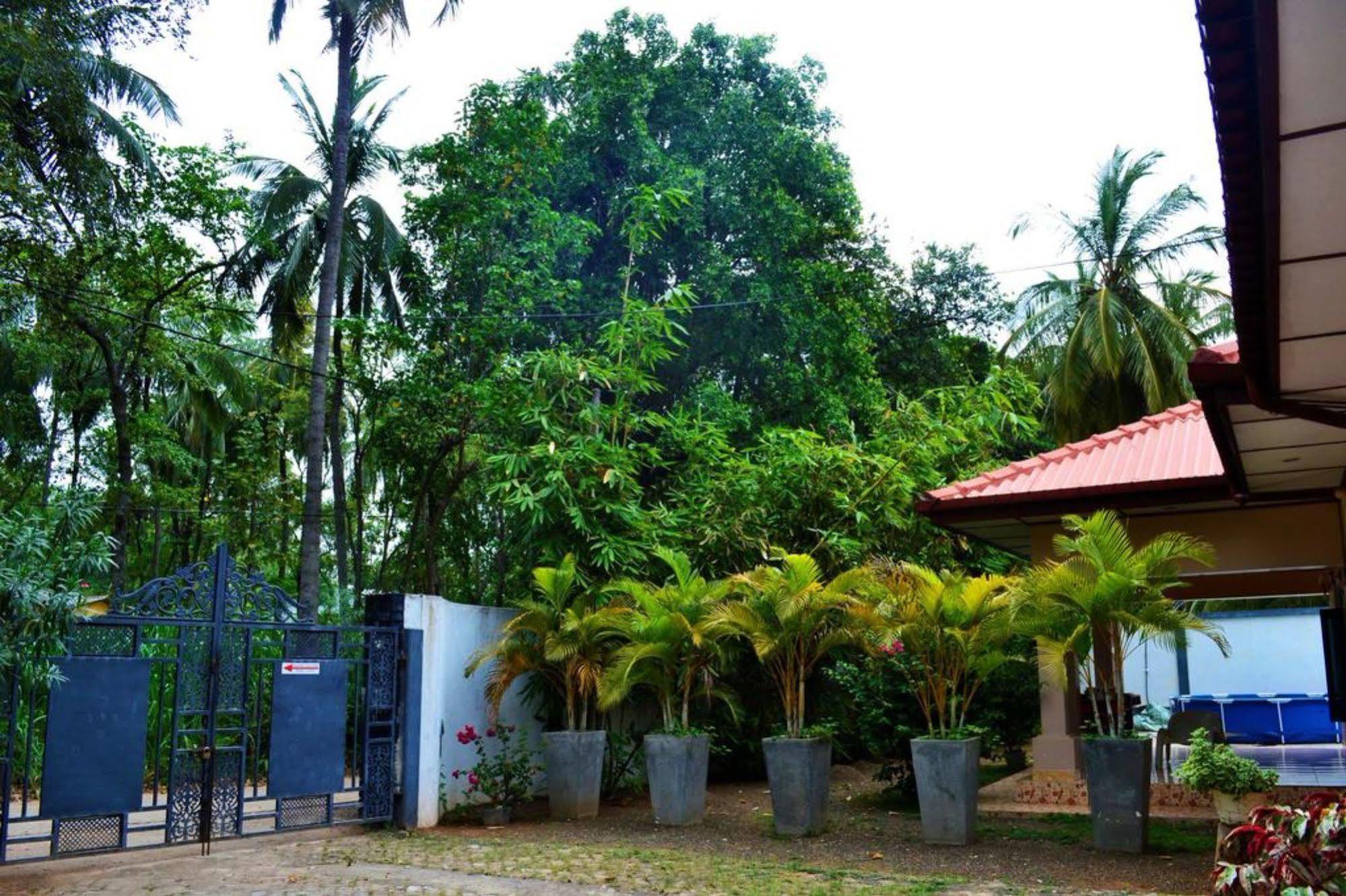 Dambulla City Hostel Eksteriør billede