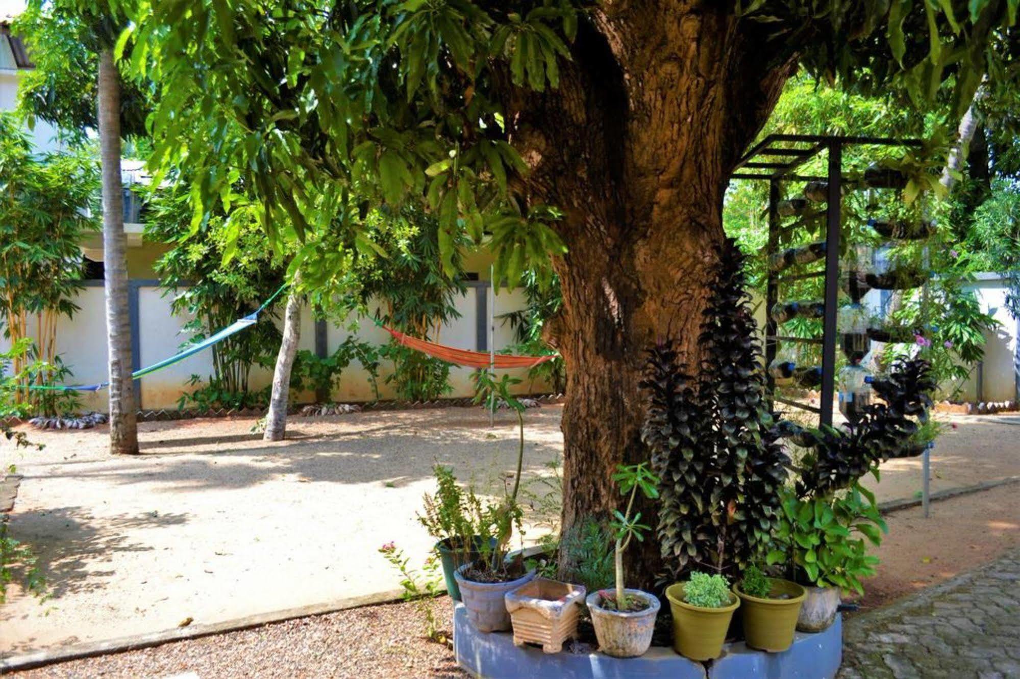 Dambulla City Hostel Eksteriør billede